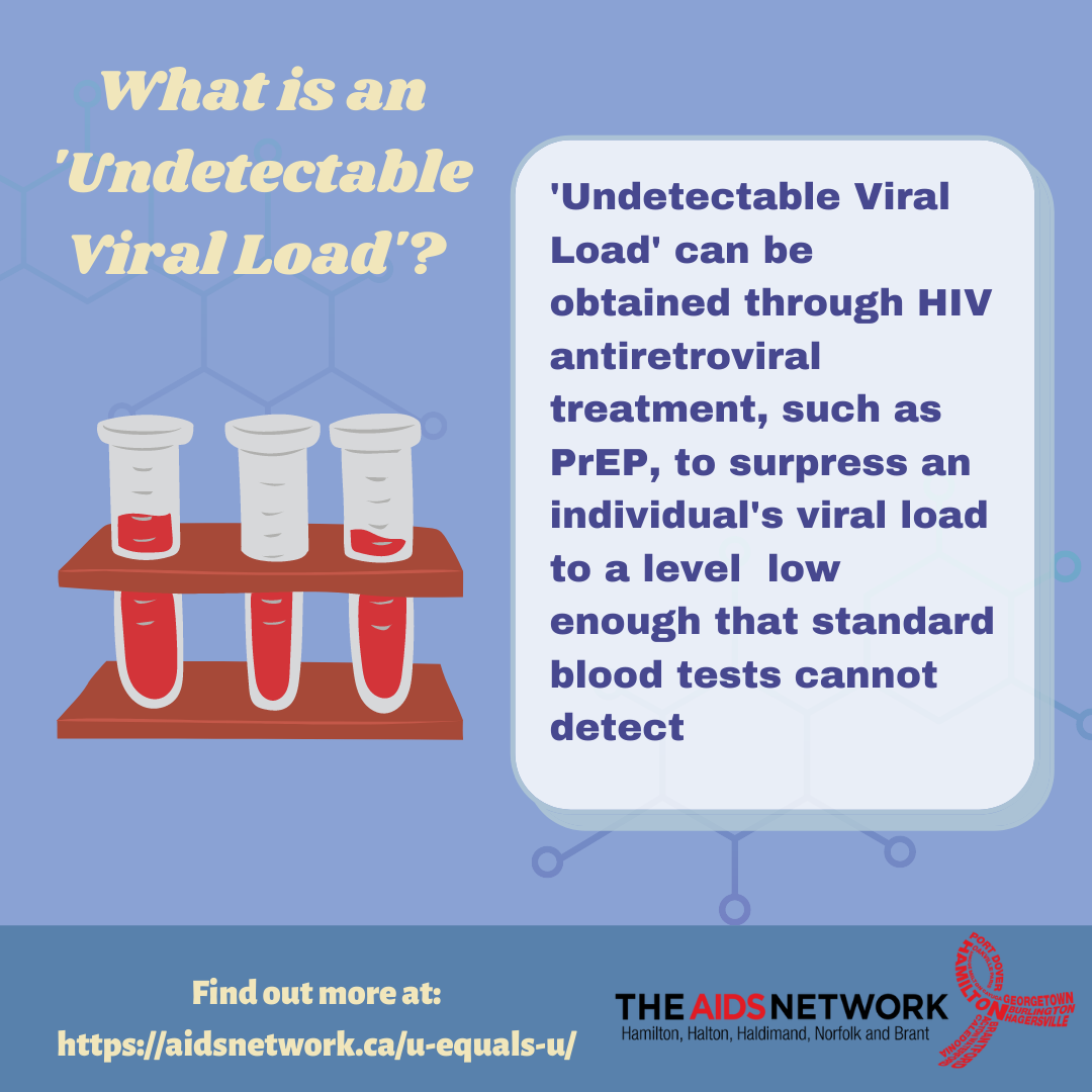 What is an Undetectable Viral Load? - Positive Health Network