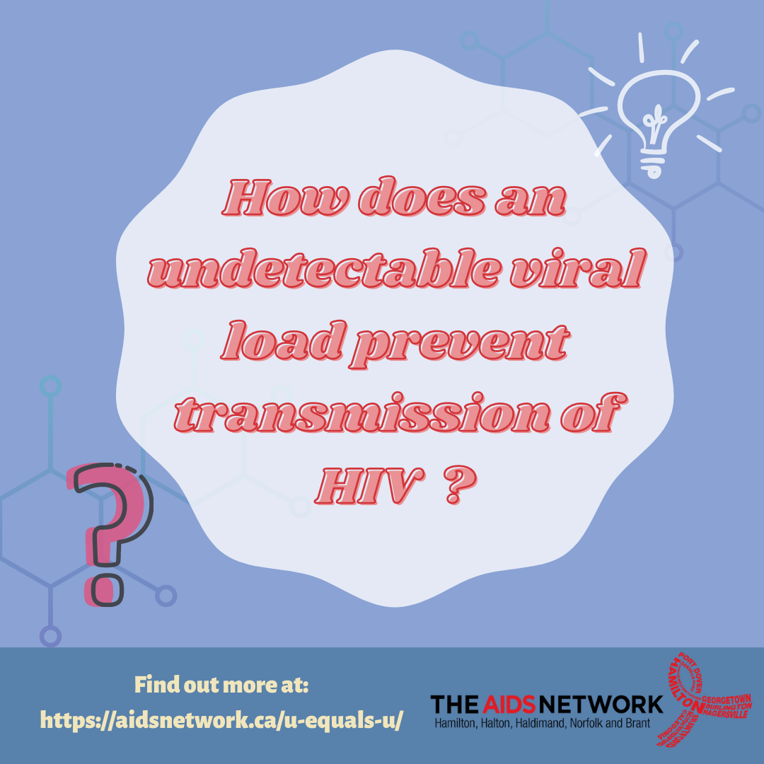 How does an undetectable viral load prevent transmission of HIV?